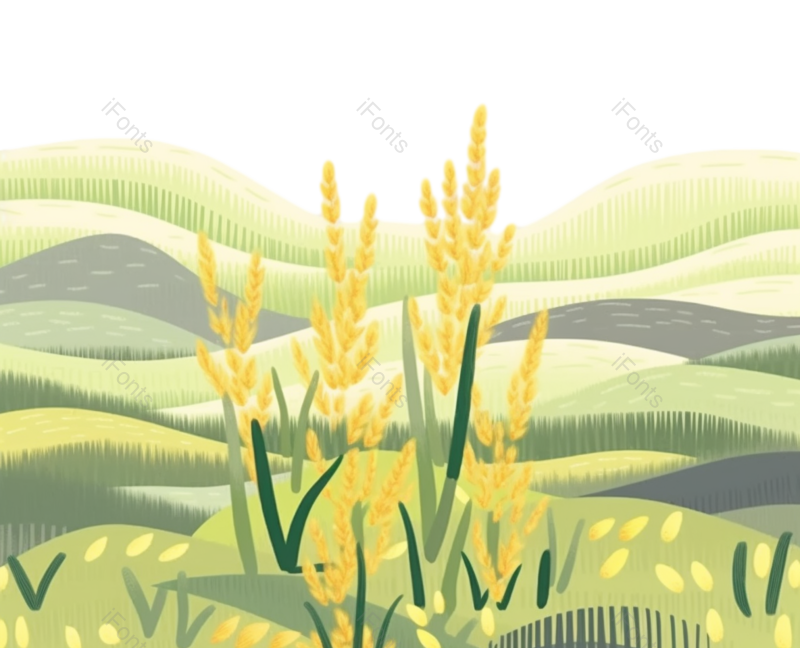 芒种图片,麦子元素,麦田PNG,麦穗免抠素材